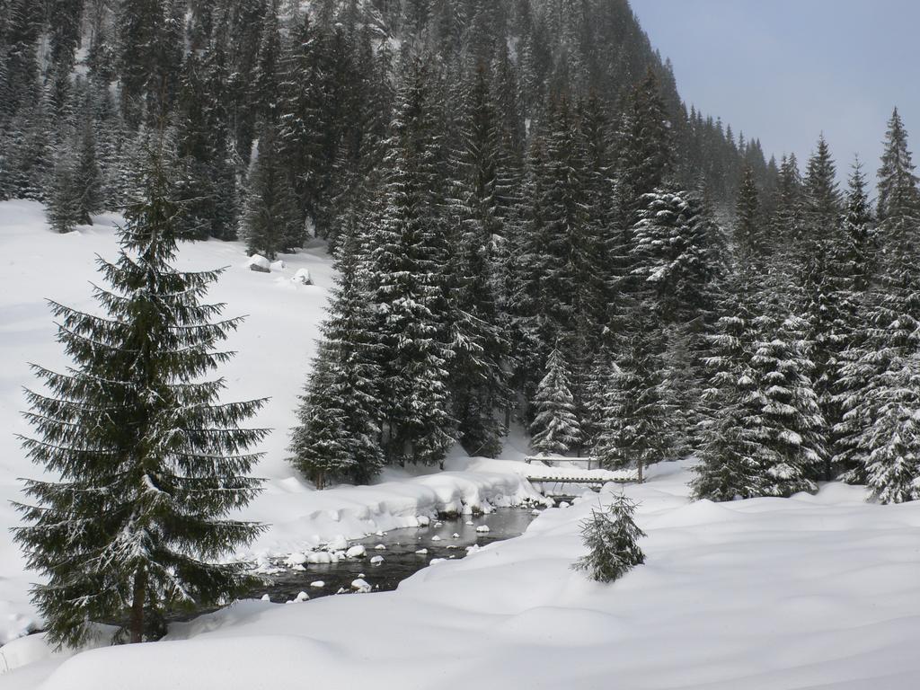 Отель Arnica Montana Арьешени Экстерьер фото