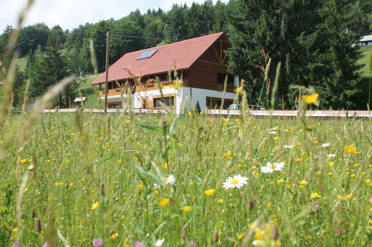 Отель Arnica Montana Арьешени Экстерьер фото