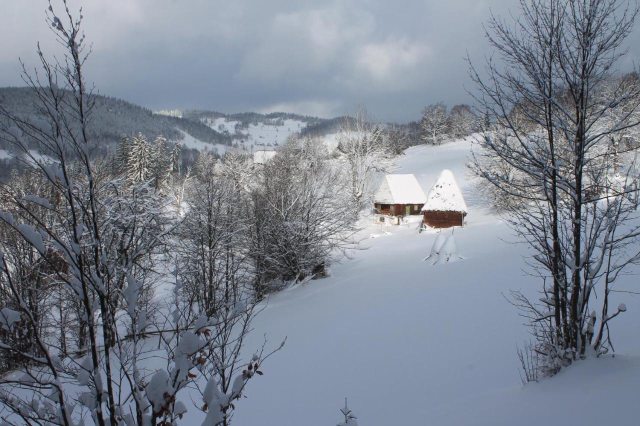 Отель Arnica Montana Арьешени Экстерьер фото